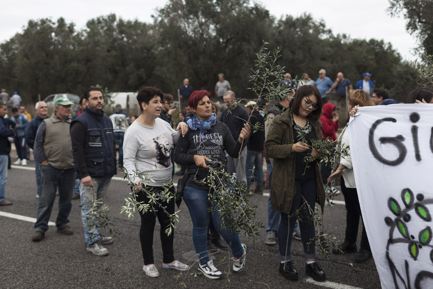 Blocking a motorway to protest the eradication of olive trees in Torchiarolo, as part of the authorities' plans to contain the Xylella fastidiosa outbreak. Fuelled by online conspiracies and a general distrust of the government, grassroots movements have mobilized wherever the authorities have tried to implement their containment plans, pointing to a failure to take into account the population's views and its attachment to olive trees. (2015)