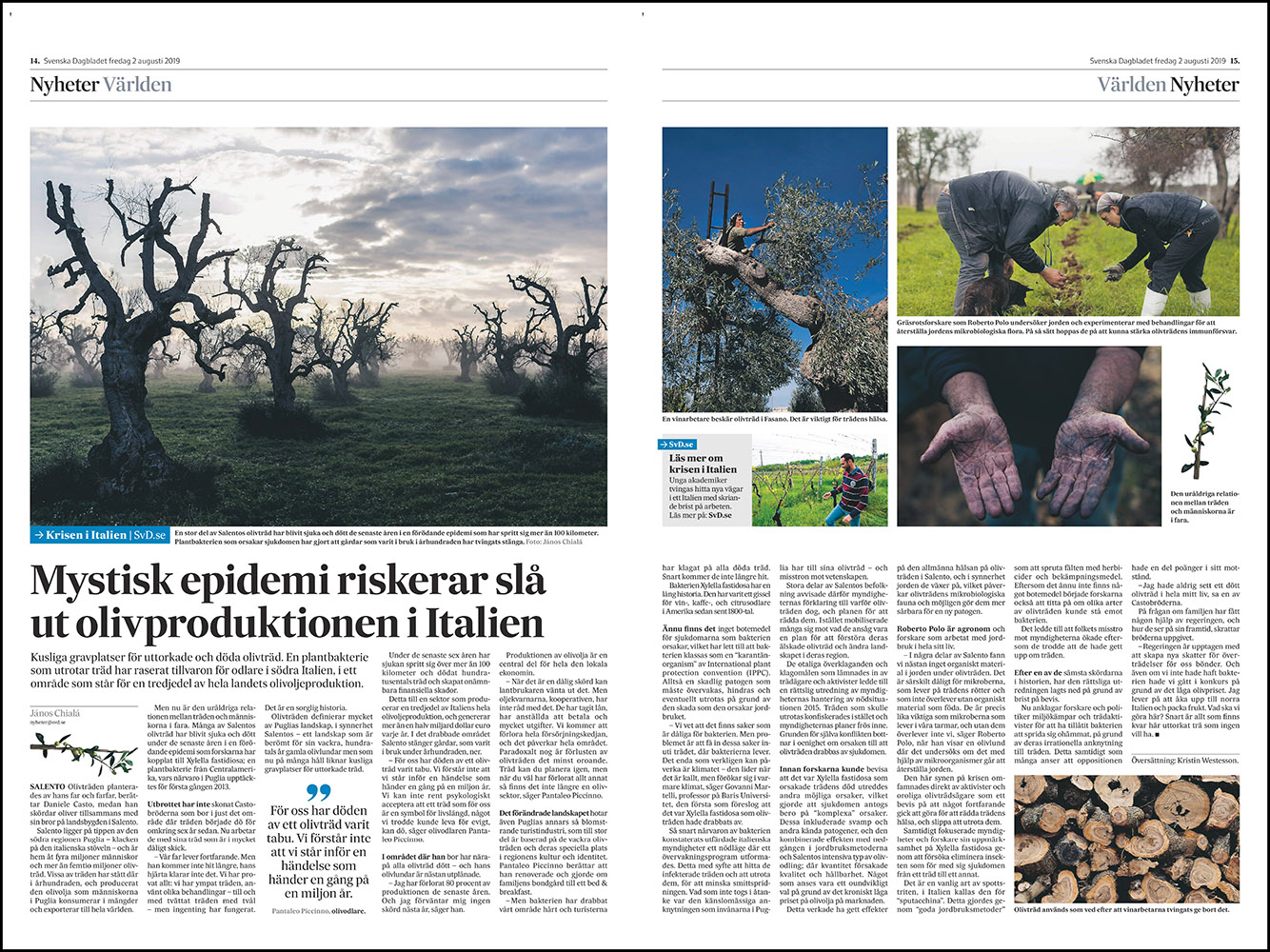 Svenska Dagbladet: The olive trees of Puglia in the time of Xylella. (July 2019)
link to story