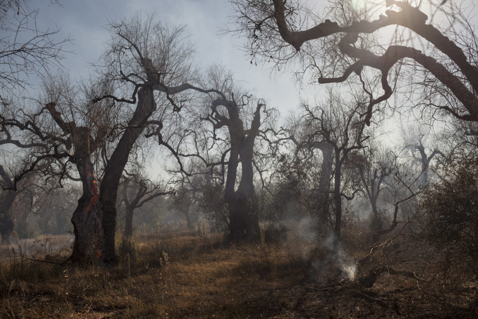 The ghosts of the landscape